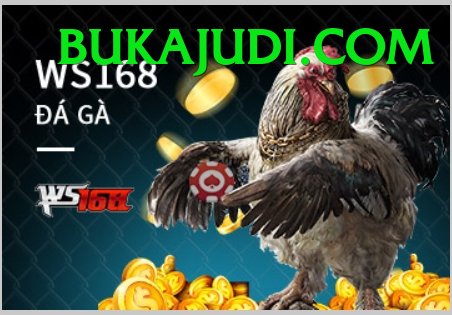 Trường Đấu Đá Gà Chuyên Nghiệp